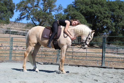 🐎 CAS Equestrian Luxury Suede Bareback Pad in brown / cognac