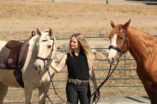 🐎 CAS Equestrian Luxury Suede Bareback Pad